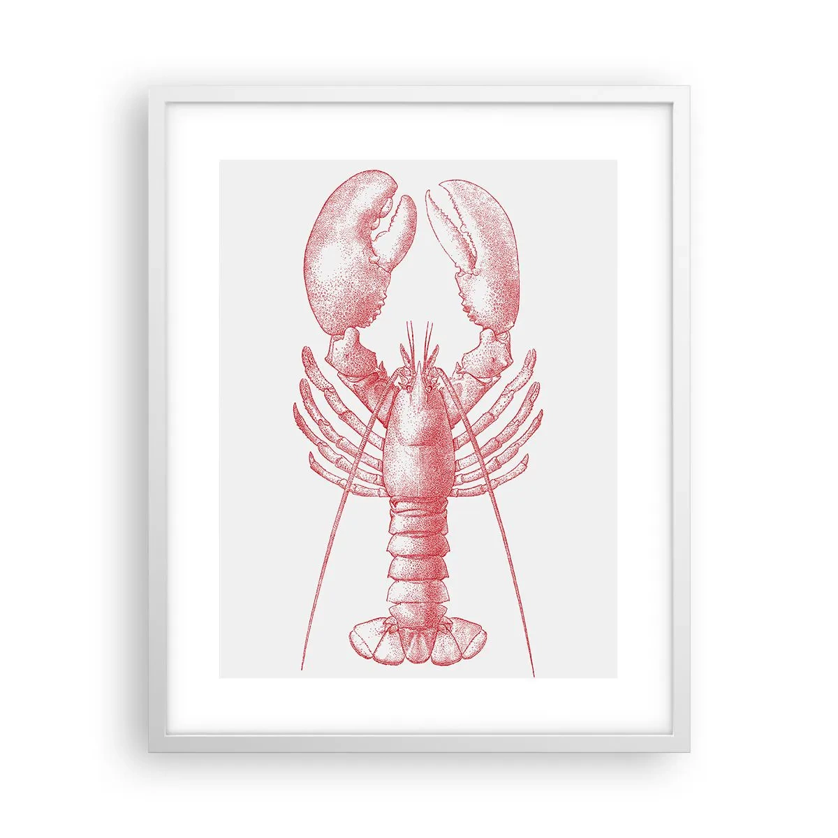 Poster in white frmae - Lobster Worthy of a Lobster - 40x50 cm