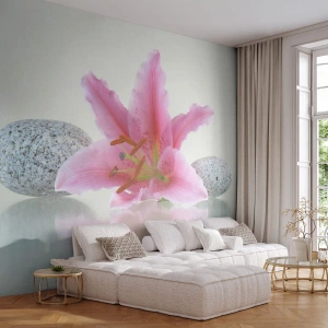 Self-Adhesive Photo Wallpaper Deluxe Sticker - Study in Pink, Grey and White - Flowers, Lily, Stones - 350x256 cm
