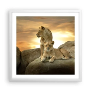 Poster in white frmae - Royal Majesty - 50x50 cm