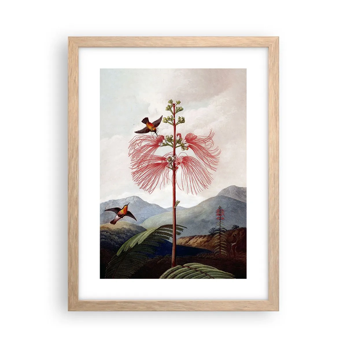 Poster in light oak frame - In a Tropical Paradise - 30x40 cm