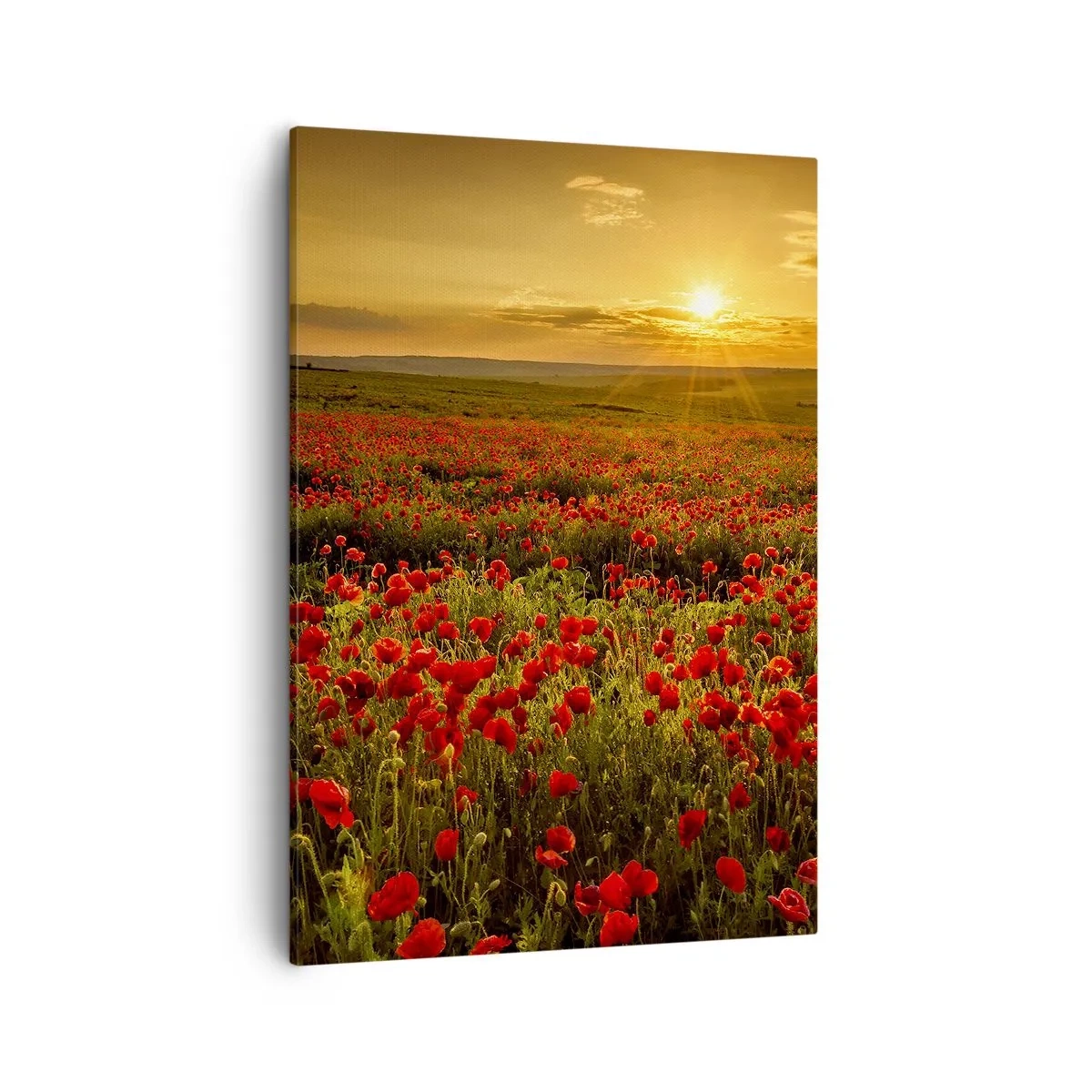 Canvas picture - In the Meadow, among Flood of Flowers - 50x70 cm