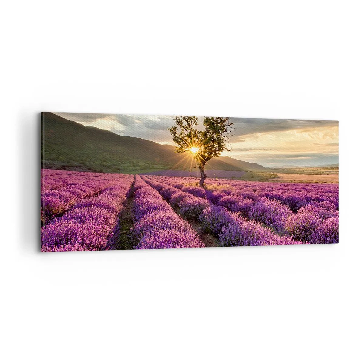 Canvas picture - Lilac Coloured Aroma - 100x40 cm
