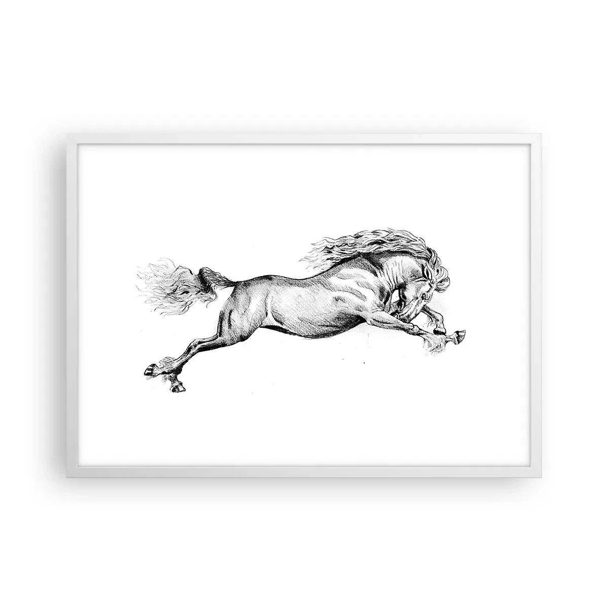 Poster in white frmae - Stopped at a Gallop - 70x50 cm
