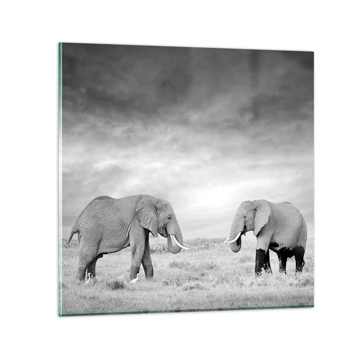 Glass picture - Grey Is Beautiful - 60x60 cm