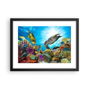 Poster in black frame - Coral Promenade - 40x30 cm