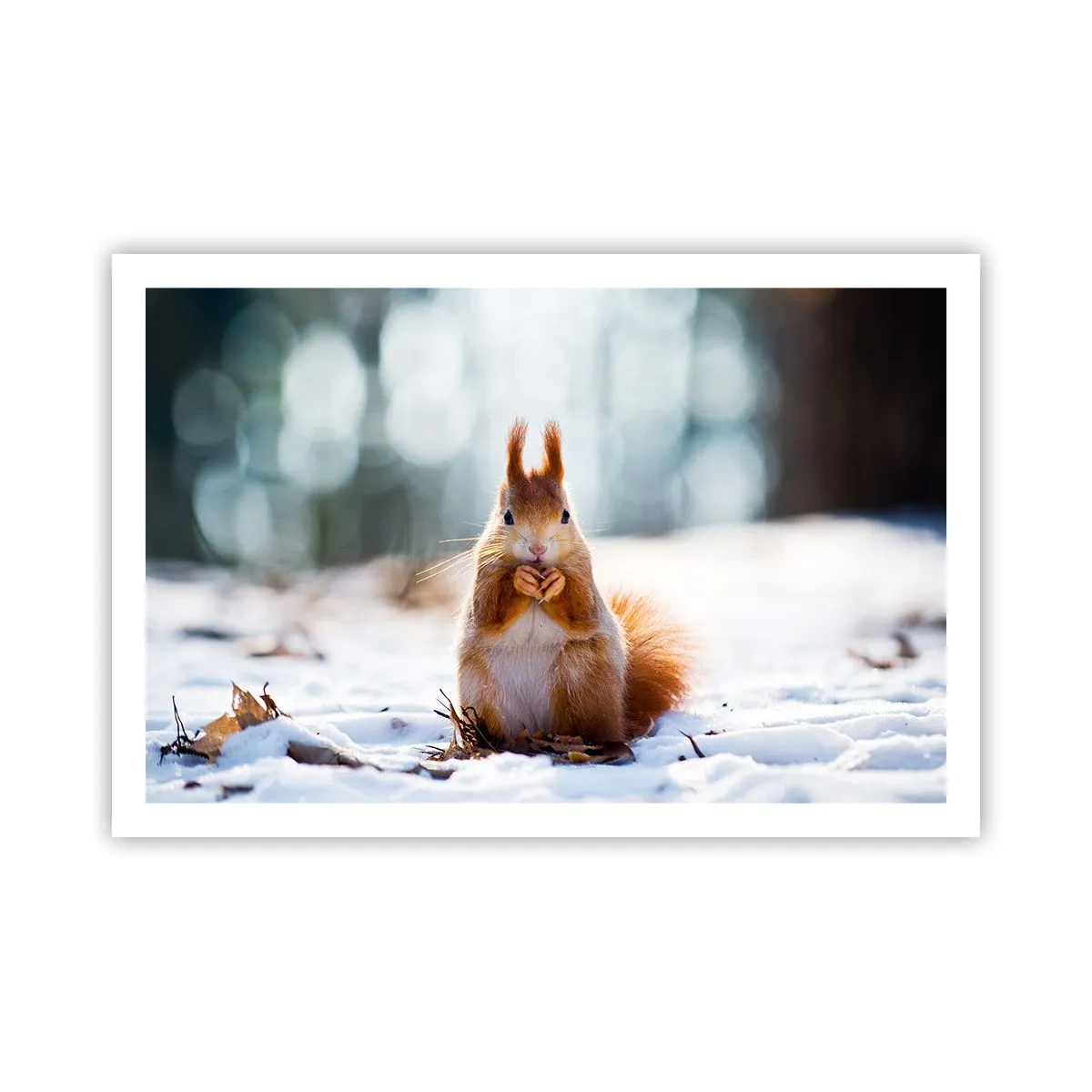 Poster - What Are You Looking at? - 91x61 cm