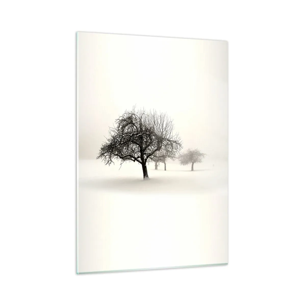 Glass picture - Winter Dream - 50x70 cm