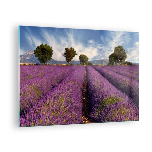 Glass picture - A lavender field with trees and a mountain backdrop - 70x50cm - Lavender Fields - Modern wall decoration for the living room and bedroom ARTTOR