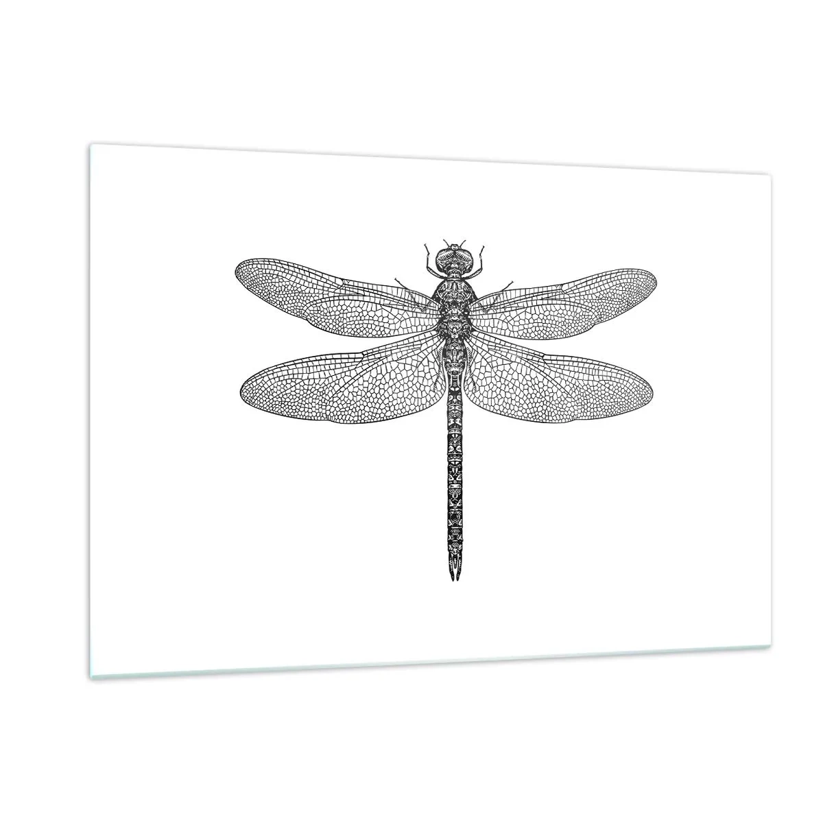 Glass picture - Precision of Nature - 120x80 cm