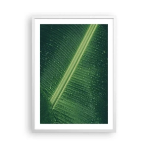 Poster in white frmae - Structure of Green - 50x70 cm