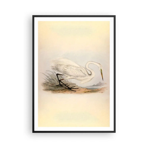 Poster in black frame - Lady on the Marsh - 70x100 cm