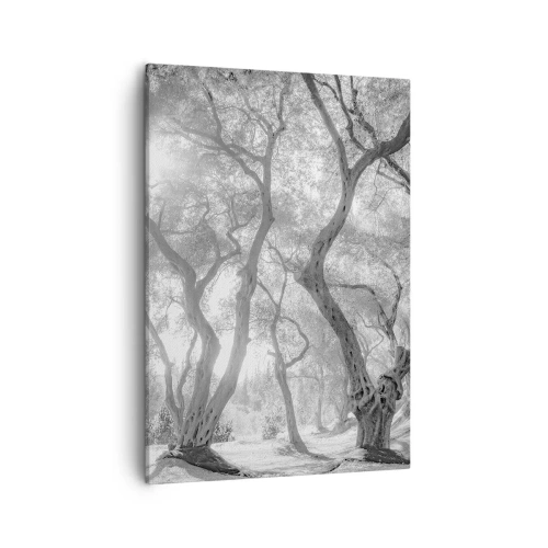 Canvas picture - In an Olive Grove - 50x70 cm