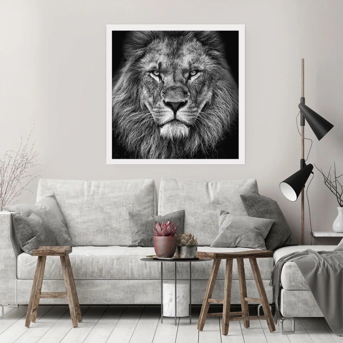 Poster - In Coronation Clothes - 50x50 cm