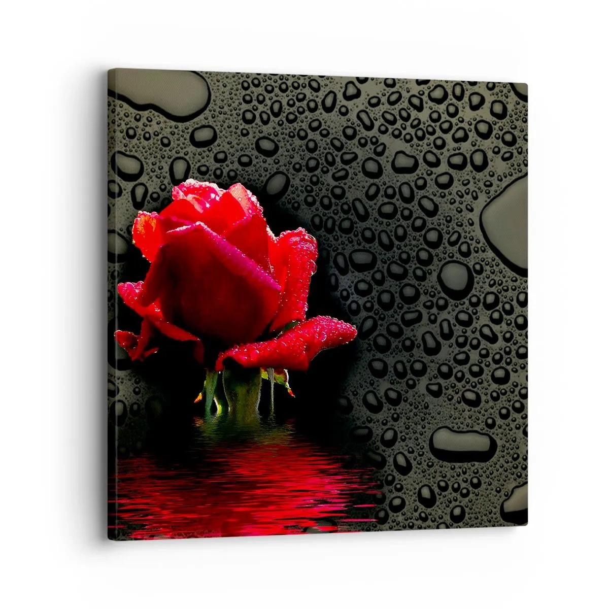 Canvas picture - Red and Black - 30x30 cm