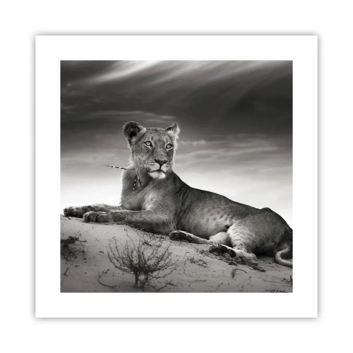 Poster - Queen of Desert Is Resting - 40x40 cm