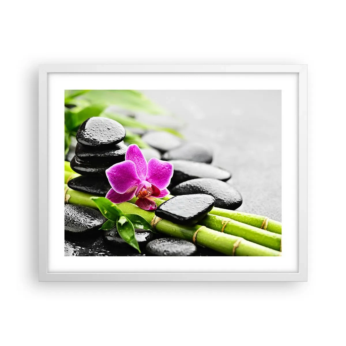 Poster in white frmae - In a Peaceful Balance - 50x40 cm