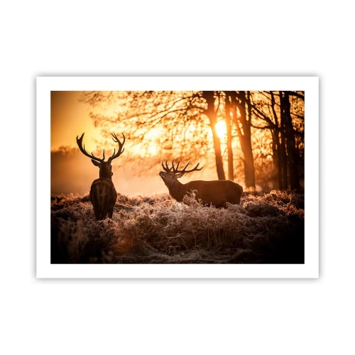 Poster - Hunter's Dream - 70x50 cm
