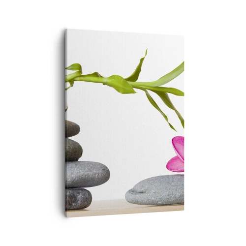 Canvas picture - Colours of Life - 50x70 cm