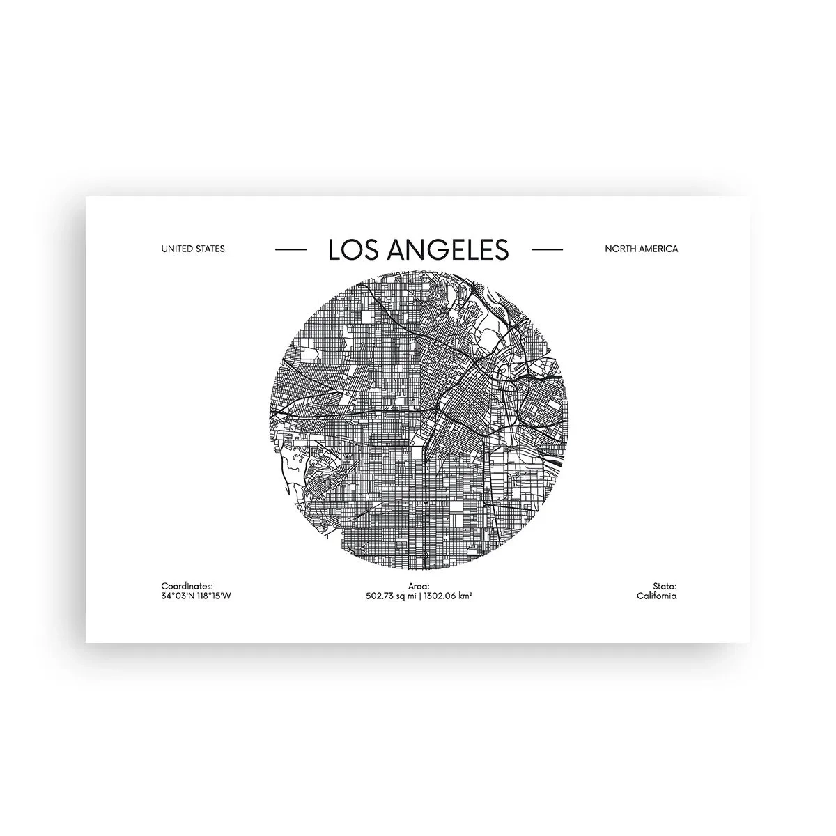 Poster - Anatomy of Los Angeles - 91x61 cm