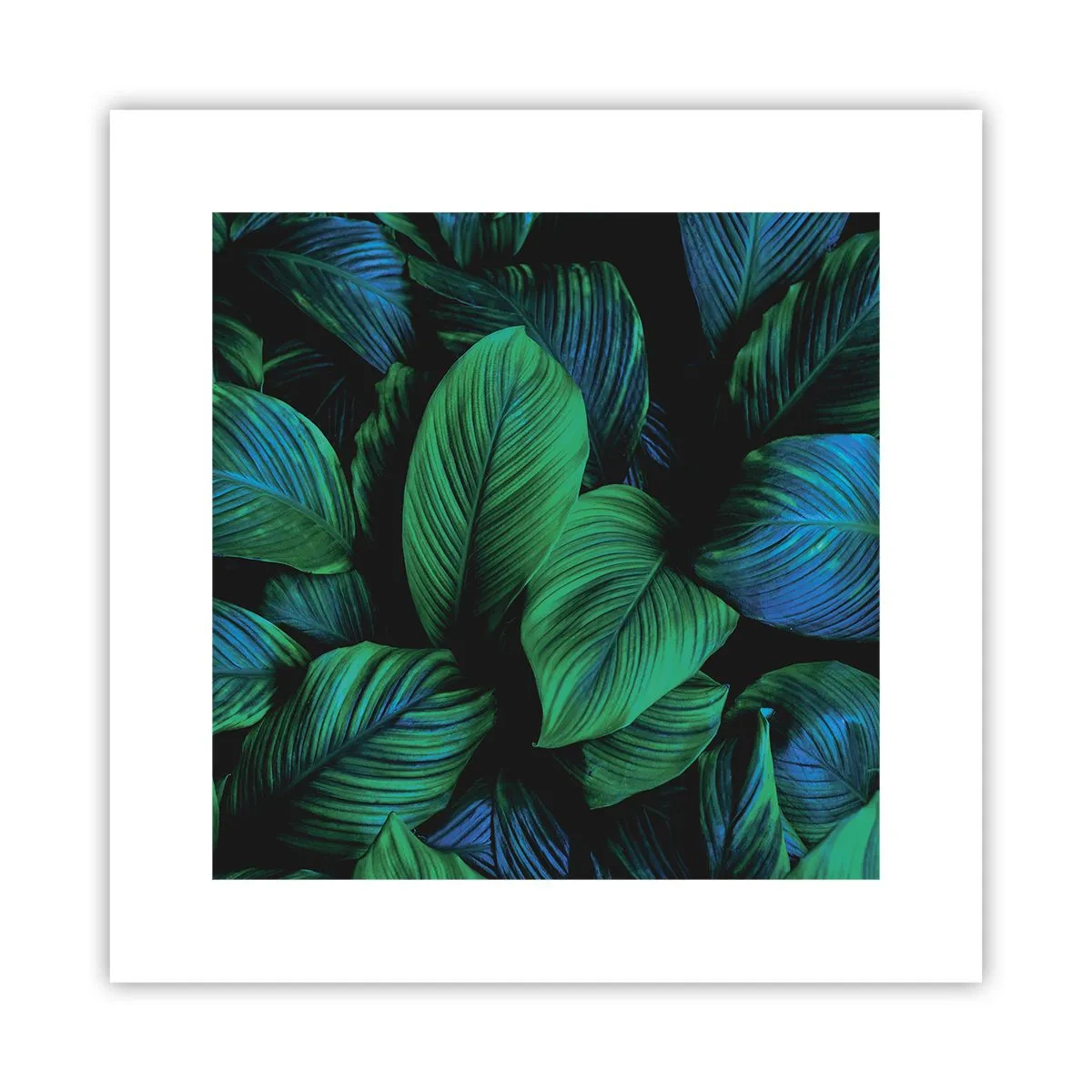 Poster - In a Green Crowd - 30x30 cm