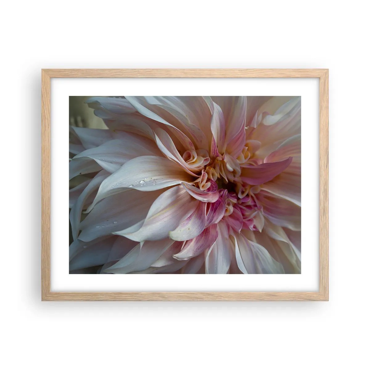 Poster in light oak frame - Blooming Freshness - 50x40 cm