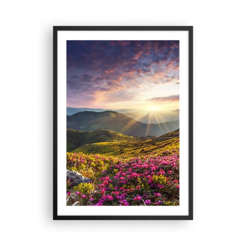 Poster in black frame - Flowers in the mountains illuminated by the rays of the setting sun - 50x70cm - Freshness of Mountain Morning - Modern wall decoration for the living room and bedroom ARTTOR