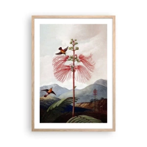 Poster in light oak frame - In a Tropical Paradise - 50x70 cm