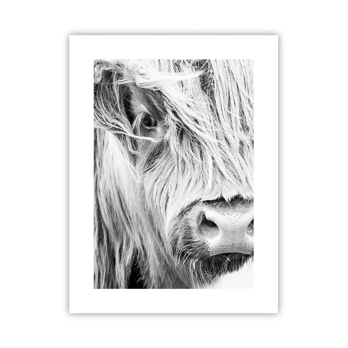 Poster - Scottish Wilderness - 30x40 cm