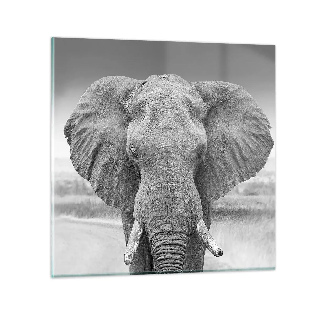 Glass picture - Welcome to My World - 50x50 cm