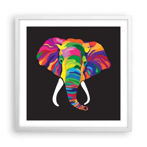 Poster in white frmae - Elephant That Enjoyed Rainbow Bath - 50x50 cm