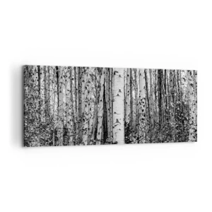 Canvas picture - Birch Colonnade - 120x50 cm