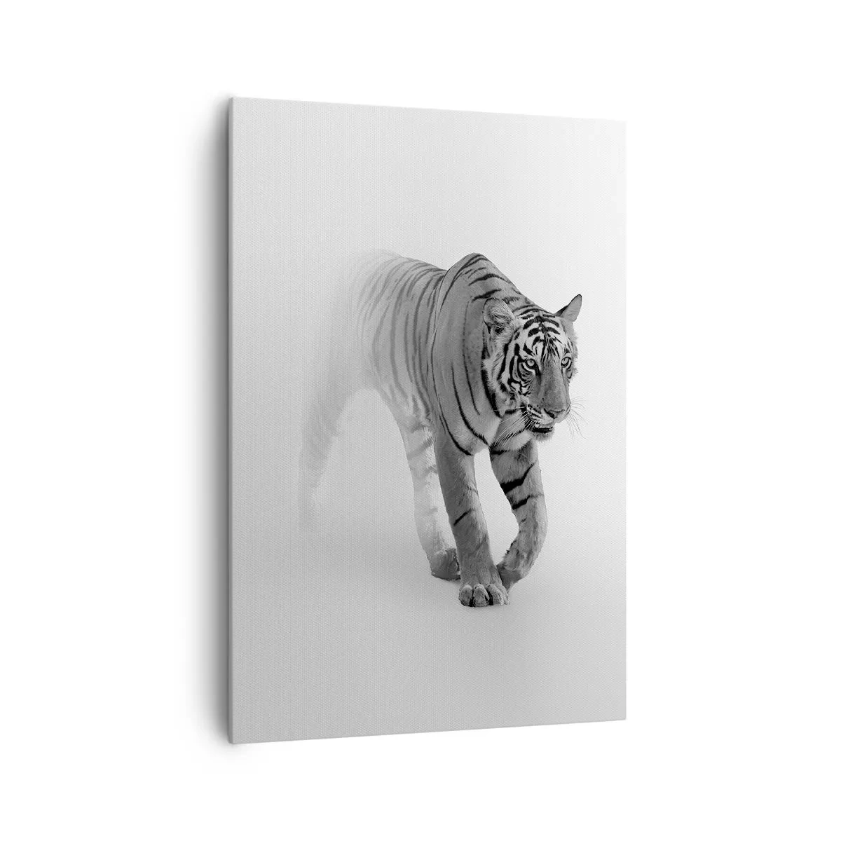 Canvas picture - Crouching in Fog - 70x100 cm