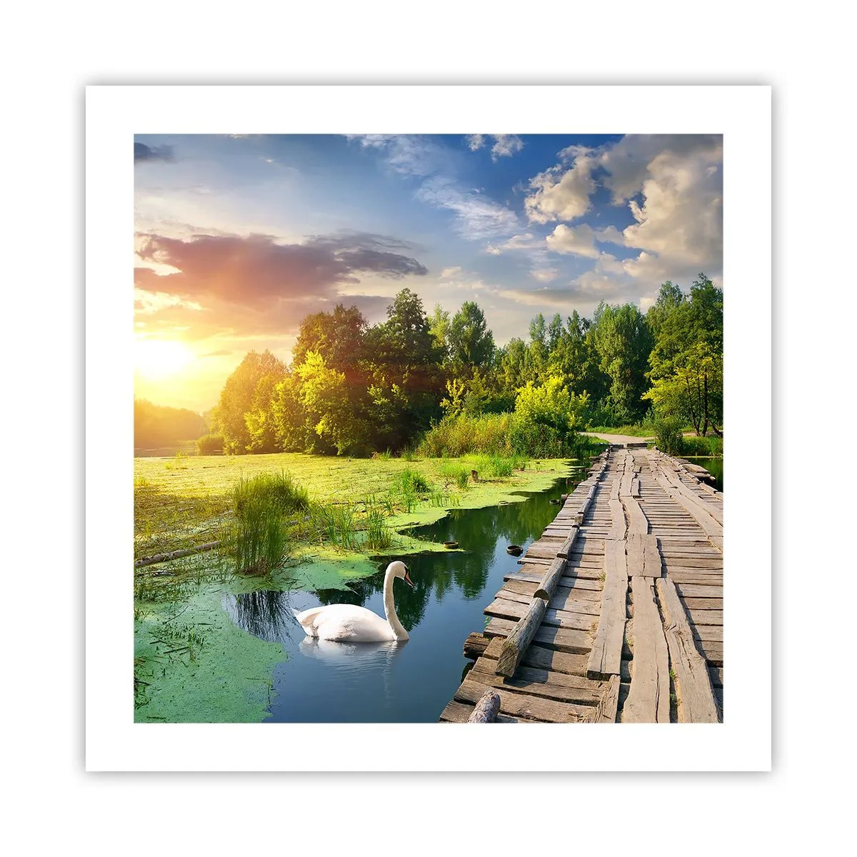 Poster - Summer Everywhere - 50x50 cm