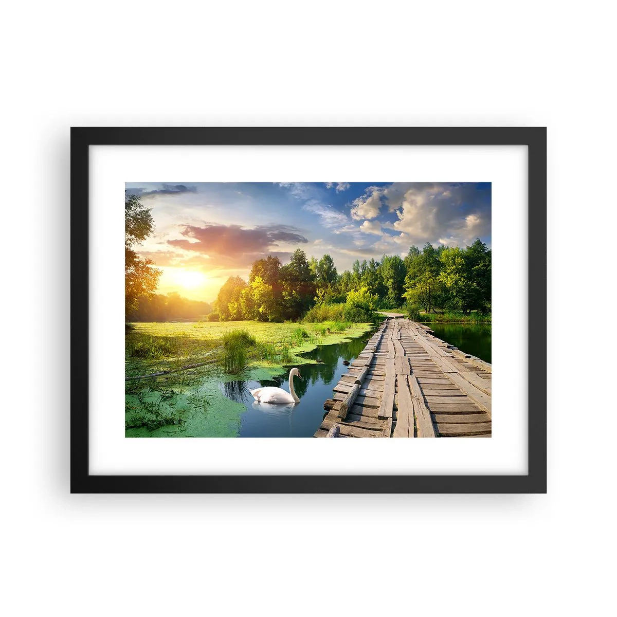 Poster in black frame - Summer Everywhere - 40x30 cm