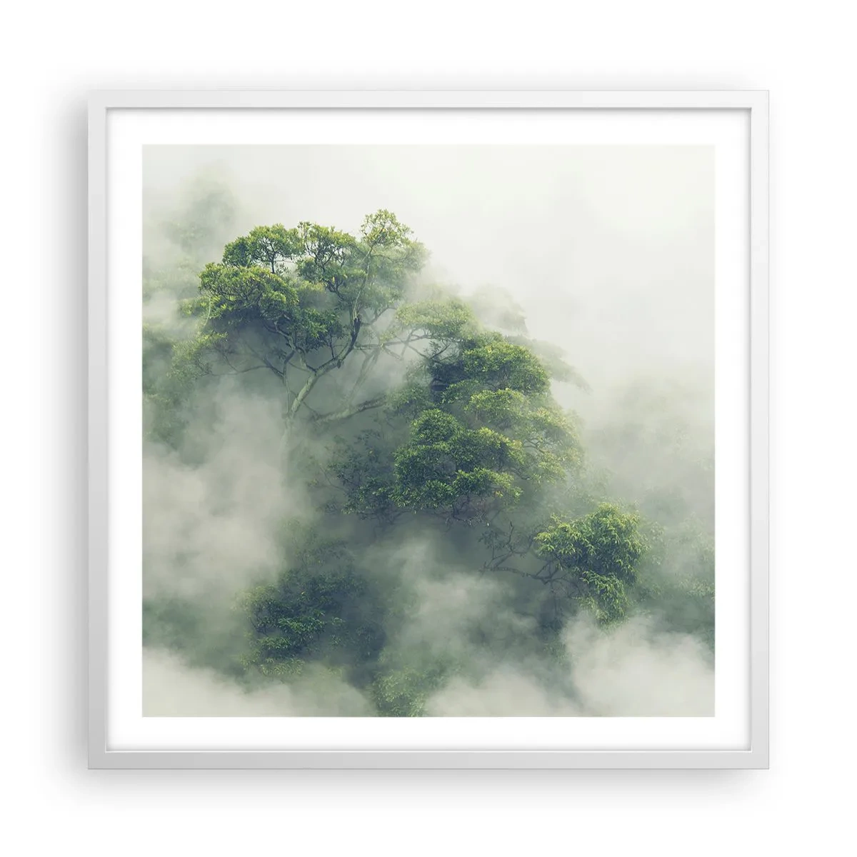 Poster in white frmae - Wrapped In Fog - 60x60 cm