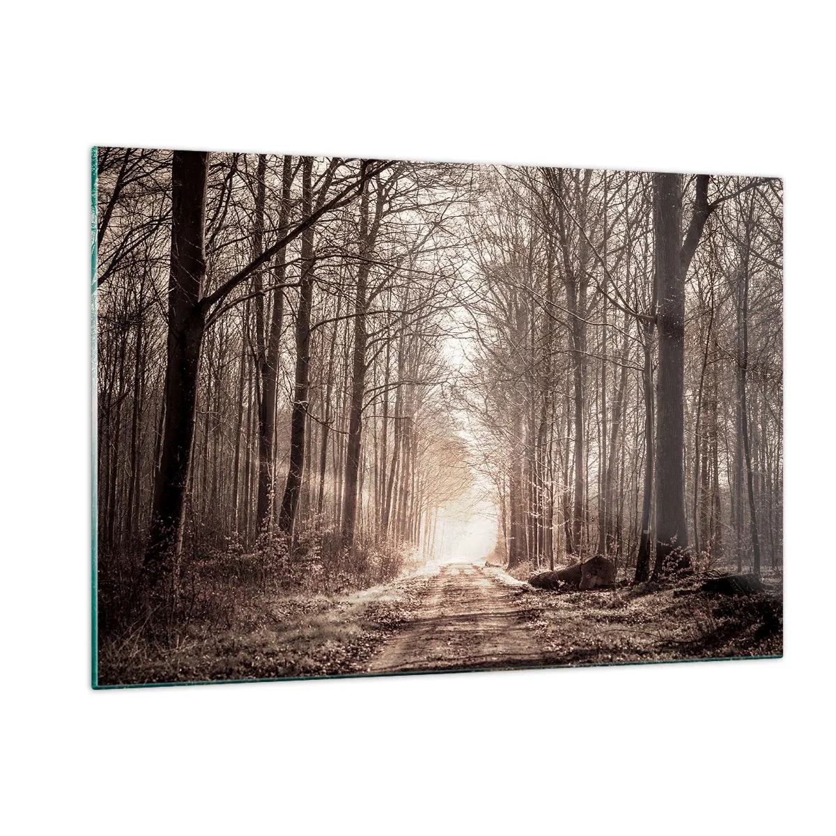 Glass picture - Cathedral of the Forest - 120x80 cm