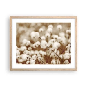 Poster in light oak frame - Fluffy field - 50x40 cm