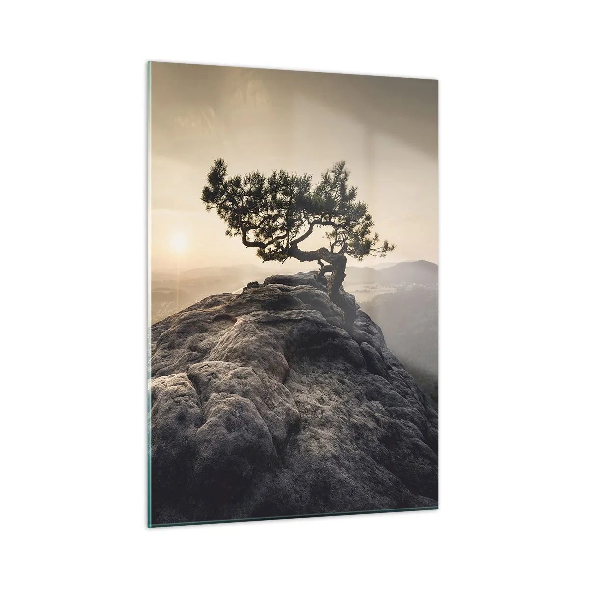Glass picture - Life Always Wins - 50x70 cm