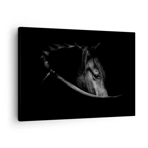 Canvas picture - A black and white portrait of a horse with a subtle play of light and shadow against a dark background. - 70x50cm - Black Prince - Modern wall decoration for the living room and bedroom ARTTOR