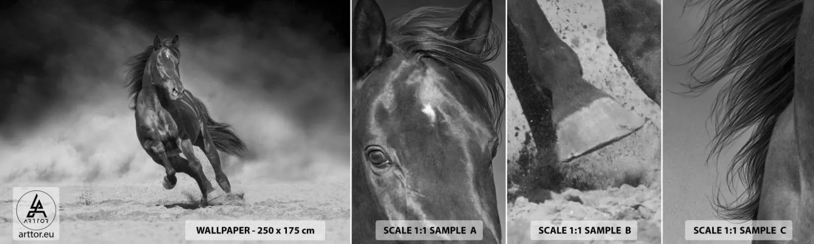 Photo Wallpaper Sample Standard Eco - Worthy of Emir Himself - Horse, Animals, Nature - 100x30 cm