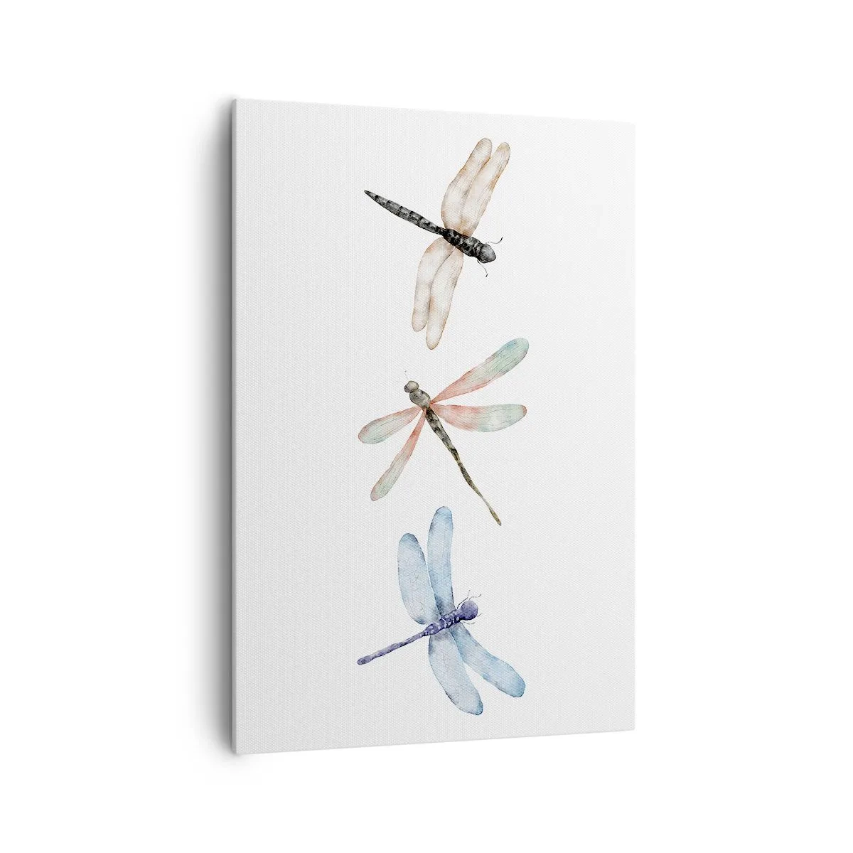 Canvas picture - Lightness of Dragonflies - 70x100 cm