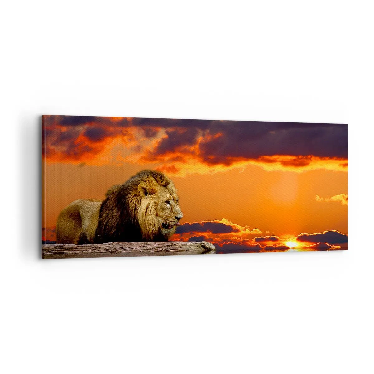 Canvas picture - The King of Nature - 120x50 cm