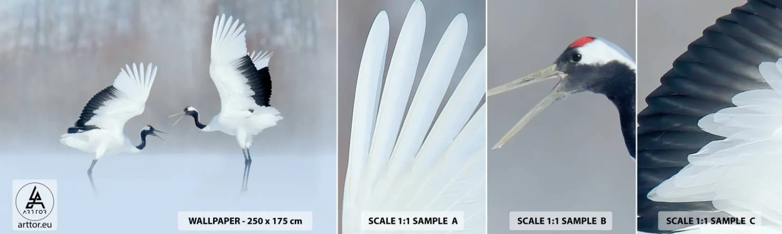 Photo Wallpaper Sample Self-Adhesive Deluxe Sticker - Dance in the Fog - Winter, Bird, Nature - 100x30 cm