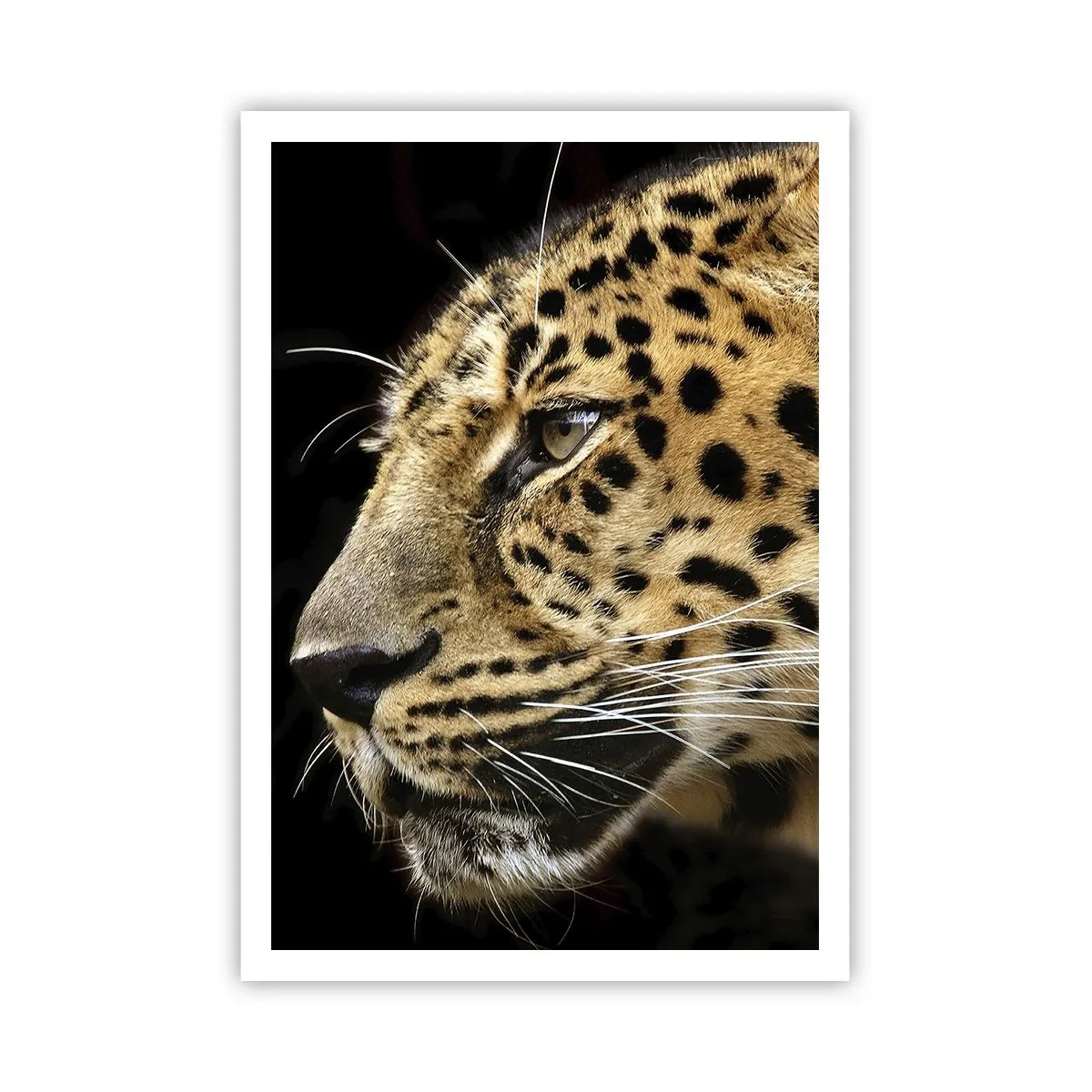 Poster - Calm, Focused, Ready - 70x100 cm