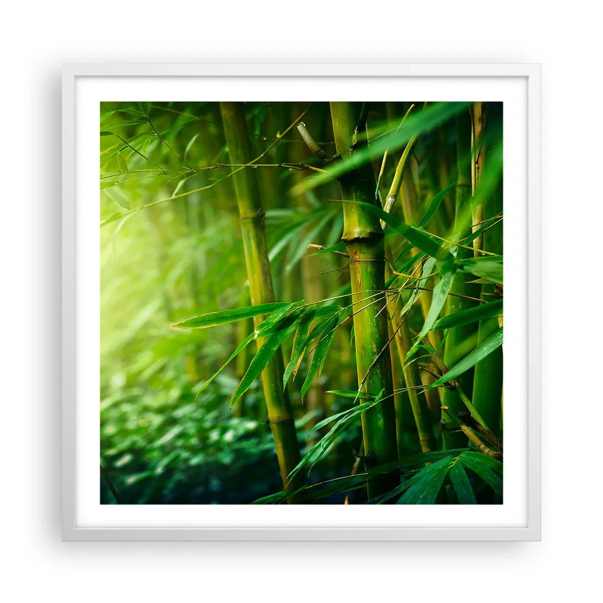 Poster in white frmae - Getting to Know the Green - 60x60 cm