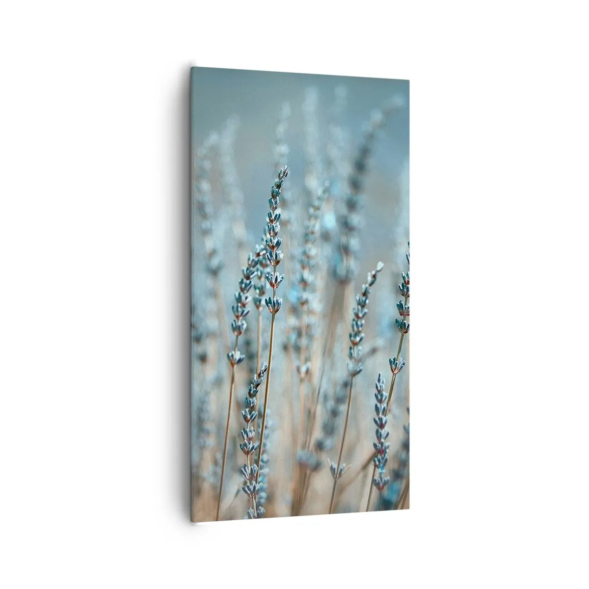 Canvas picture - Fragrant Grass - 65x120 cm