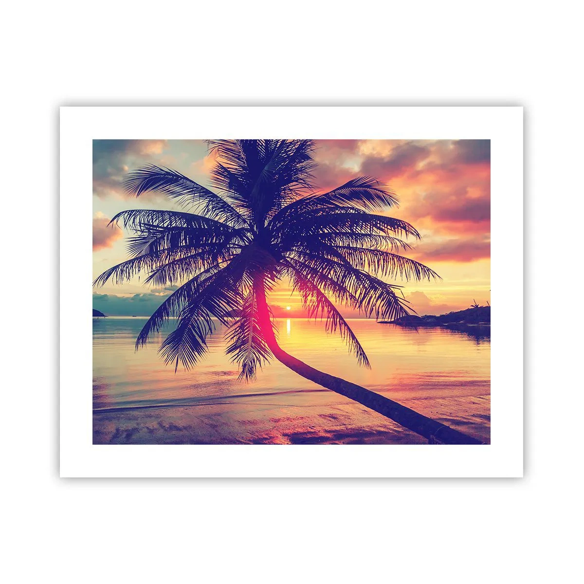Poster - Evening under the Palm Trees - 50x40 cm