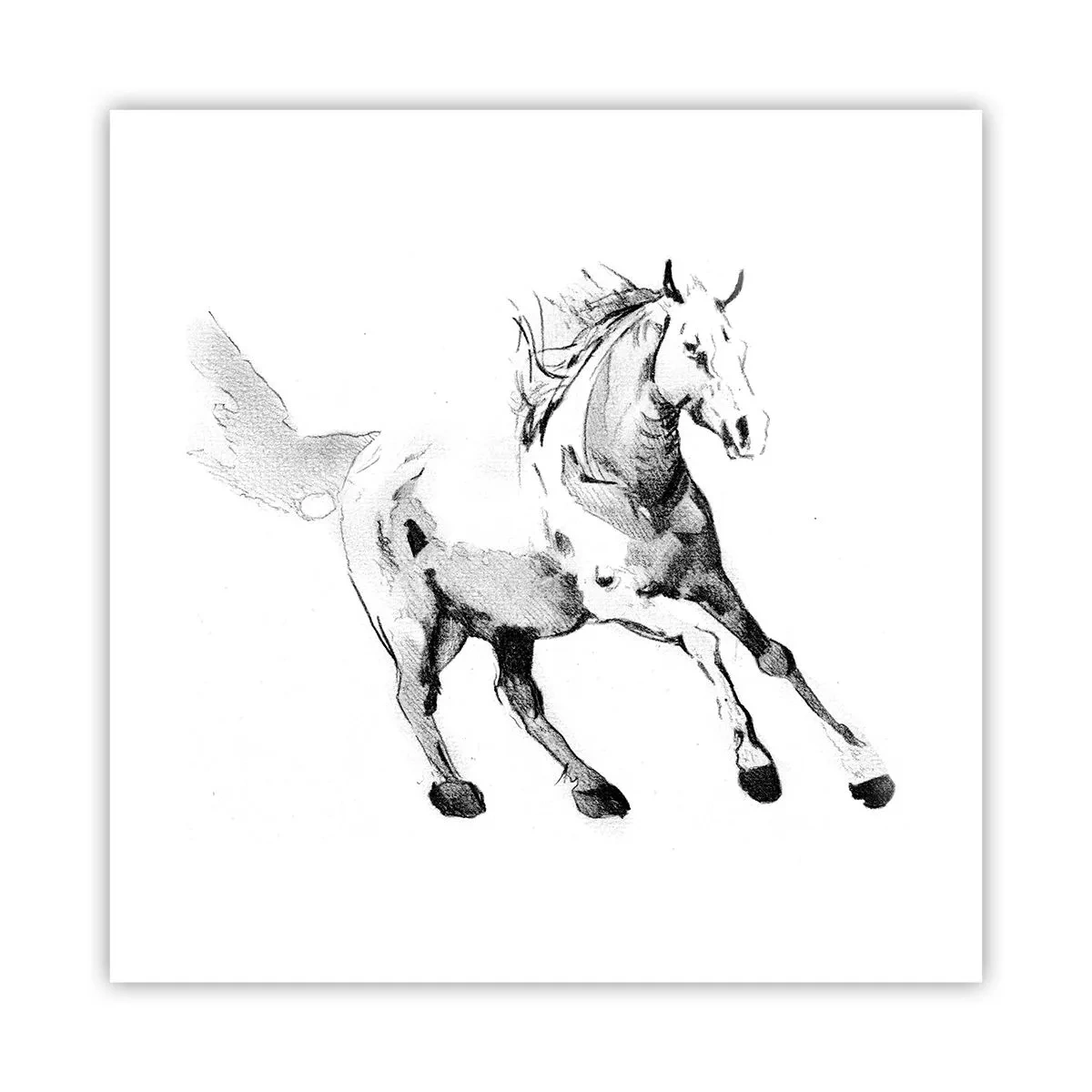 Poster - Untamed Soul - 40x40 cm