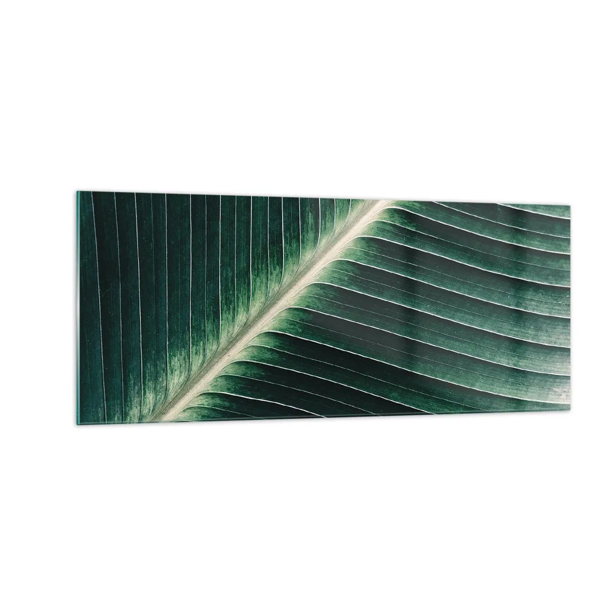 Glass picture - Rhythm of Nature - 100x40 cm