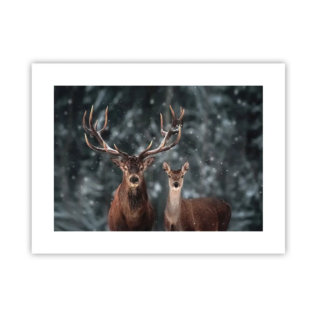 Poster - Master of the Forest with His Wife - 40x30 cm